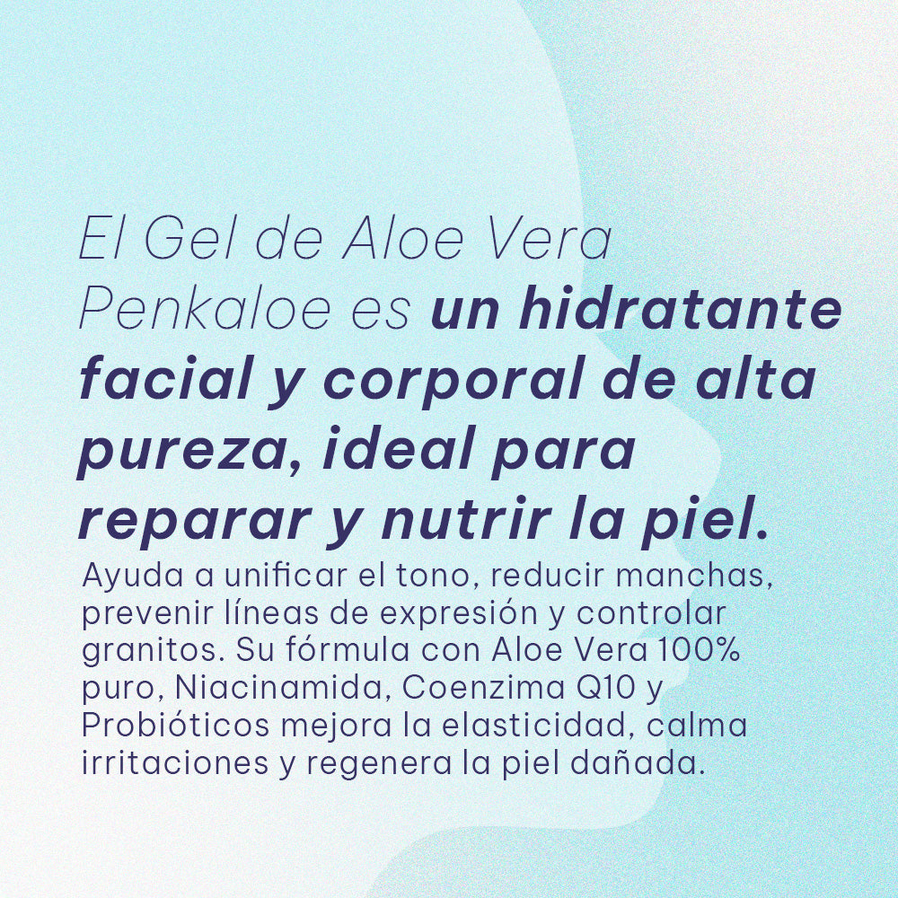 Gel Aloe Vera Penkaloe Hidratante y Reparador