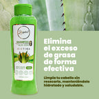Shampoo Anyeluz Aloe Vera Hidratación Vitalidad 500 ml