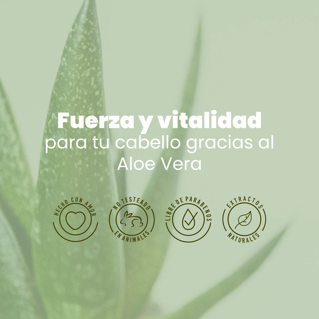Shampoo Anyeluz Aloe Vera Hidratación Vitalidad 500 ml