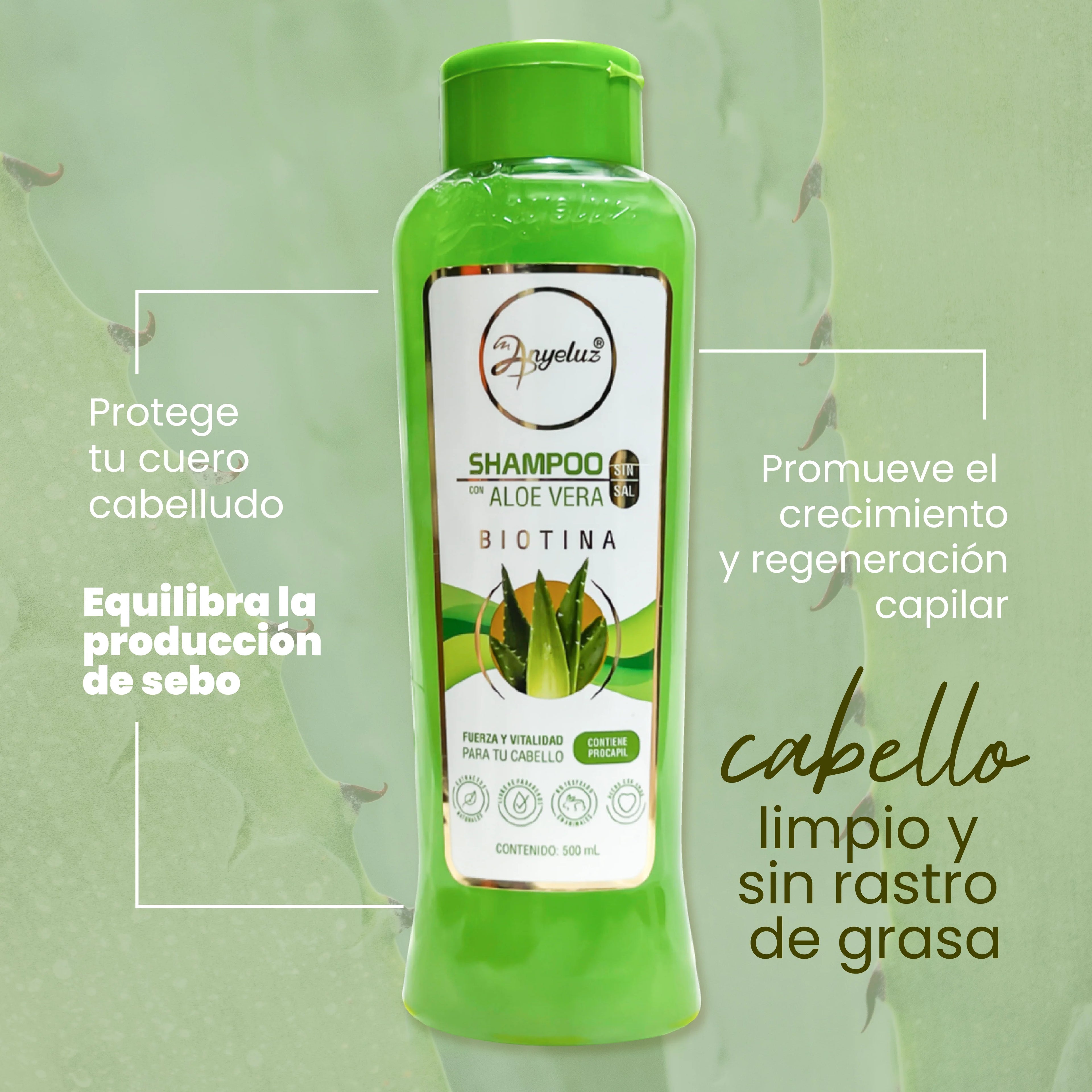 Shampoo Anyeluz Aloe Vera Hidratación Vitalidad 500 ml