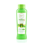 Shampoo Anyeluz Aloe Vera Hidratación Vitalidad 500 ml